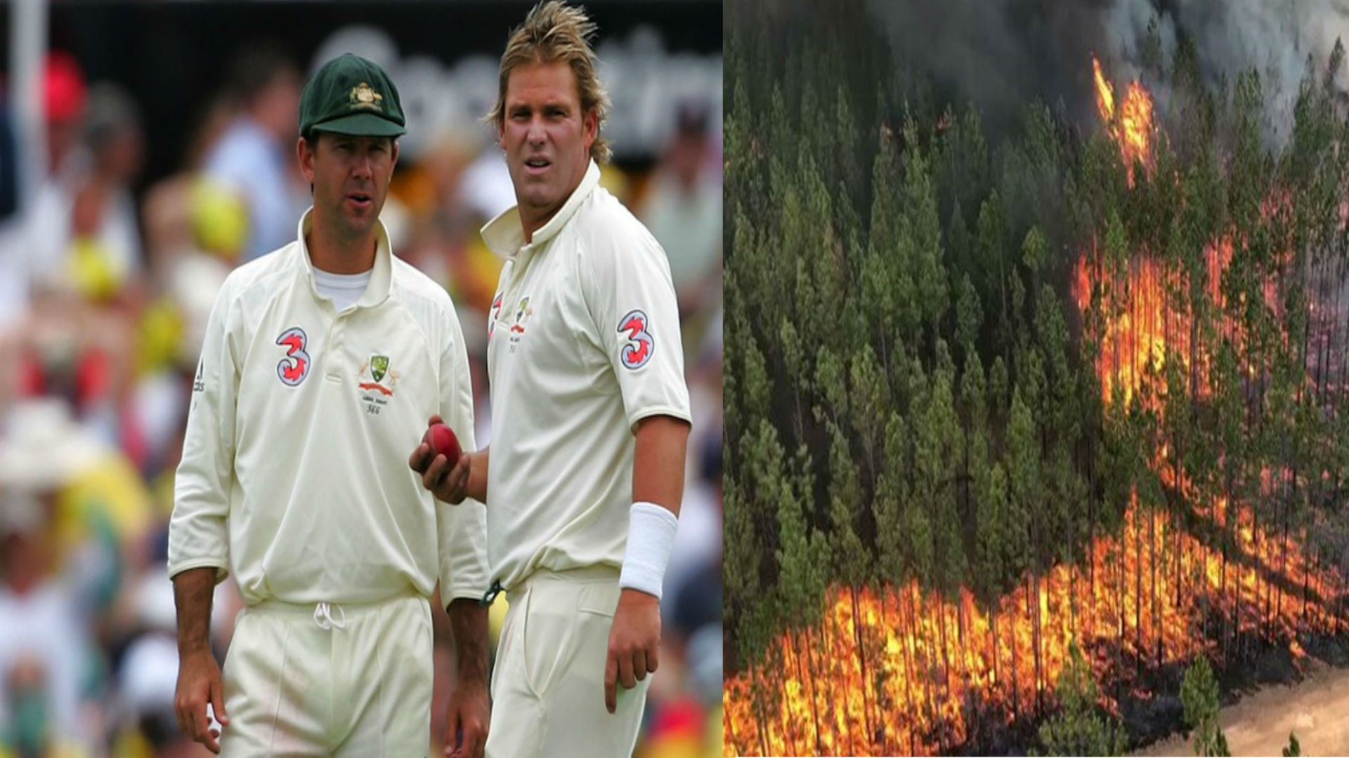 आस्ट्रेलियाई जंगलों में लगी आग पीडितों के चैरिटी के लिए टी 20 मैच