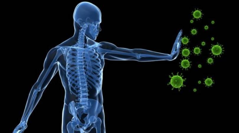 Importance of immunity in daily life